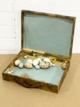 A box of vintage eggshells. 28x23cm