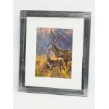 An oil painting on board by Donal McNaughton. Stags. New frame. 29x39cm. Frame 56x66cm