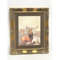 A vintage ornate gilt framed print of a stag. Monarch of the Green. 54cx64cm