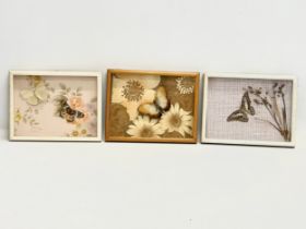3 vintage cased taxidermy butterfly’s. 22x17cm