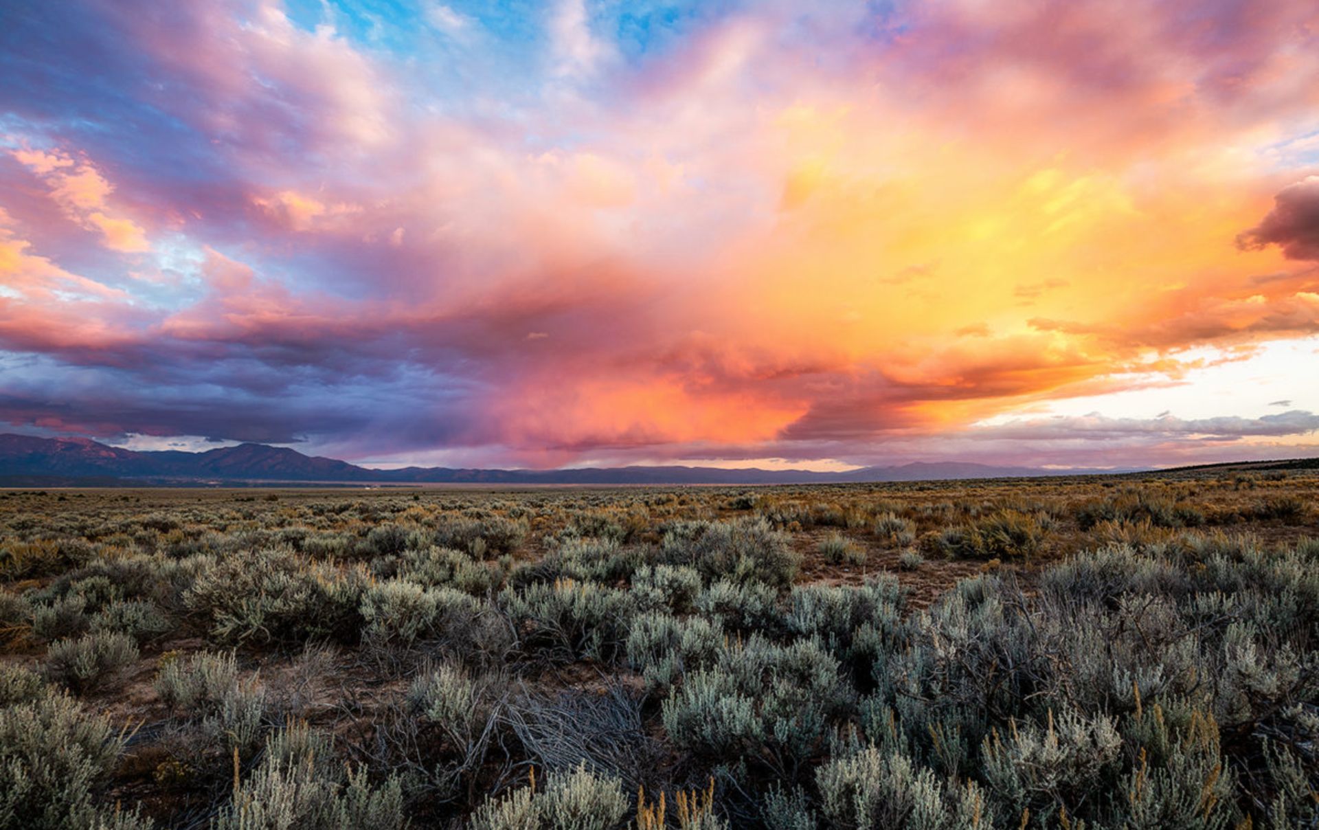 Magnificent Mountain Views in Valencia County, New Mexico! - Image 5 of 11