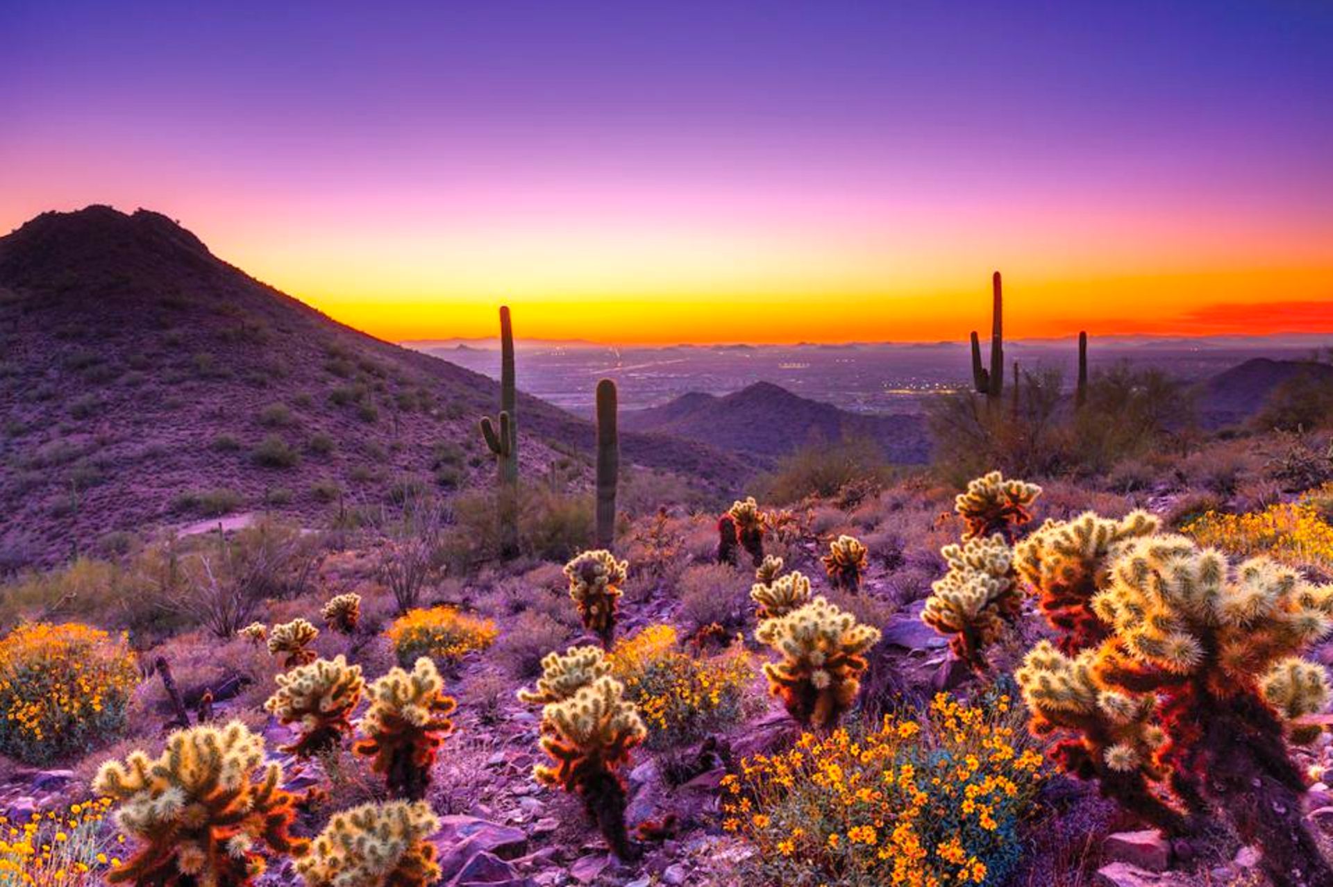 Explore Cochise County, Arizona!