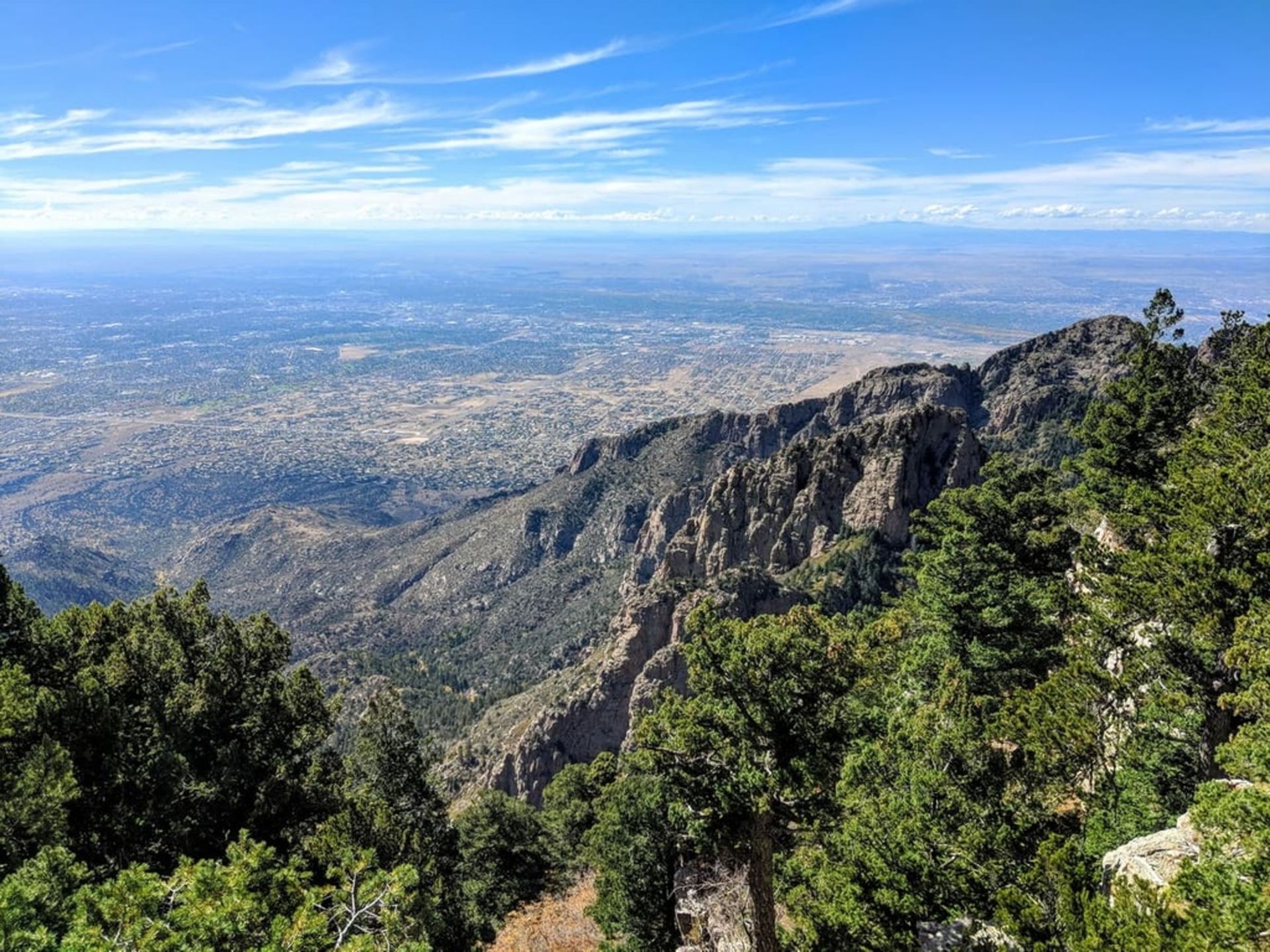 Own a Lot in Booming Valencia County, New Mexico! - Image 7 of 13