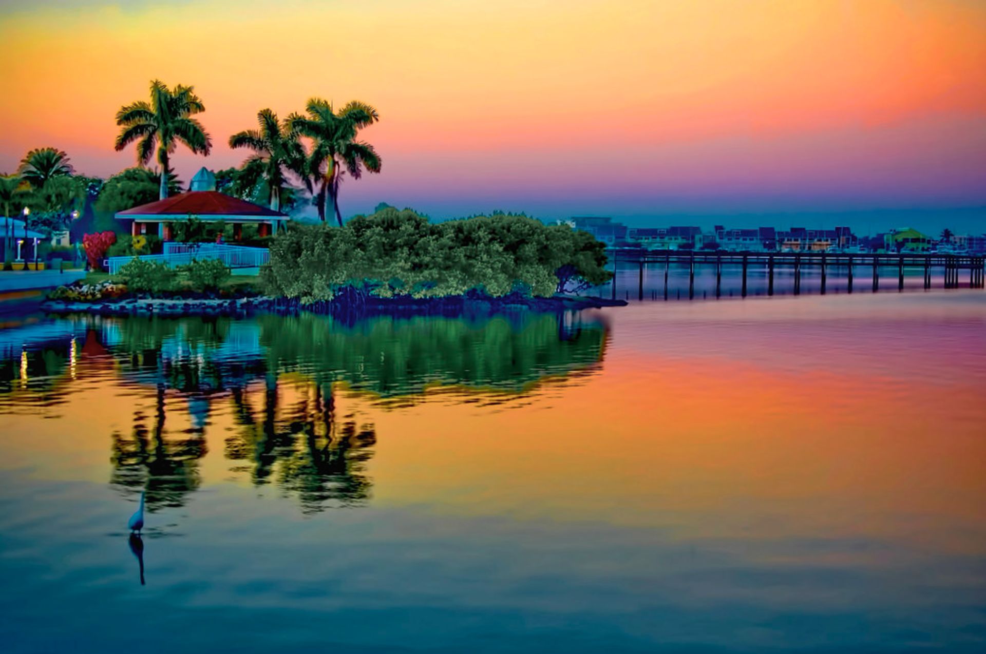 See the Palm Trees Sway in Charlotte County, Florida!