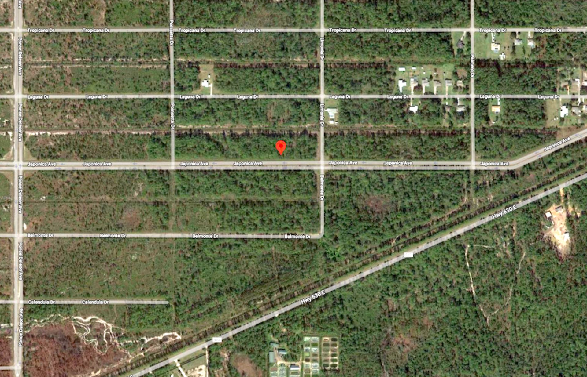 Build Your Escape to the Sunshine State on this Half-Acre Lot in Florida! - Image 6 of 11