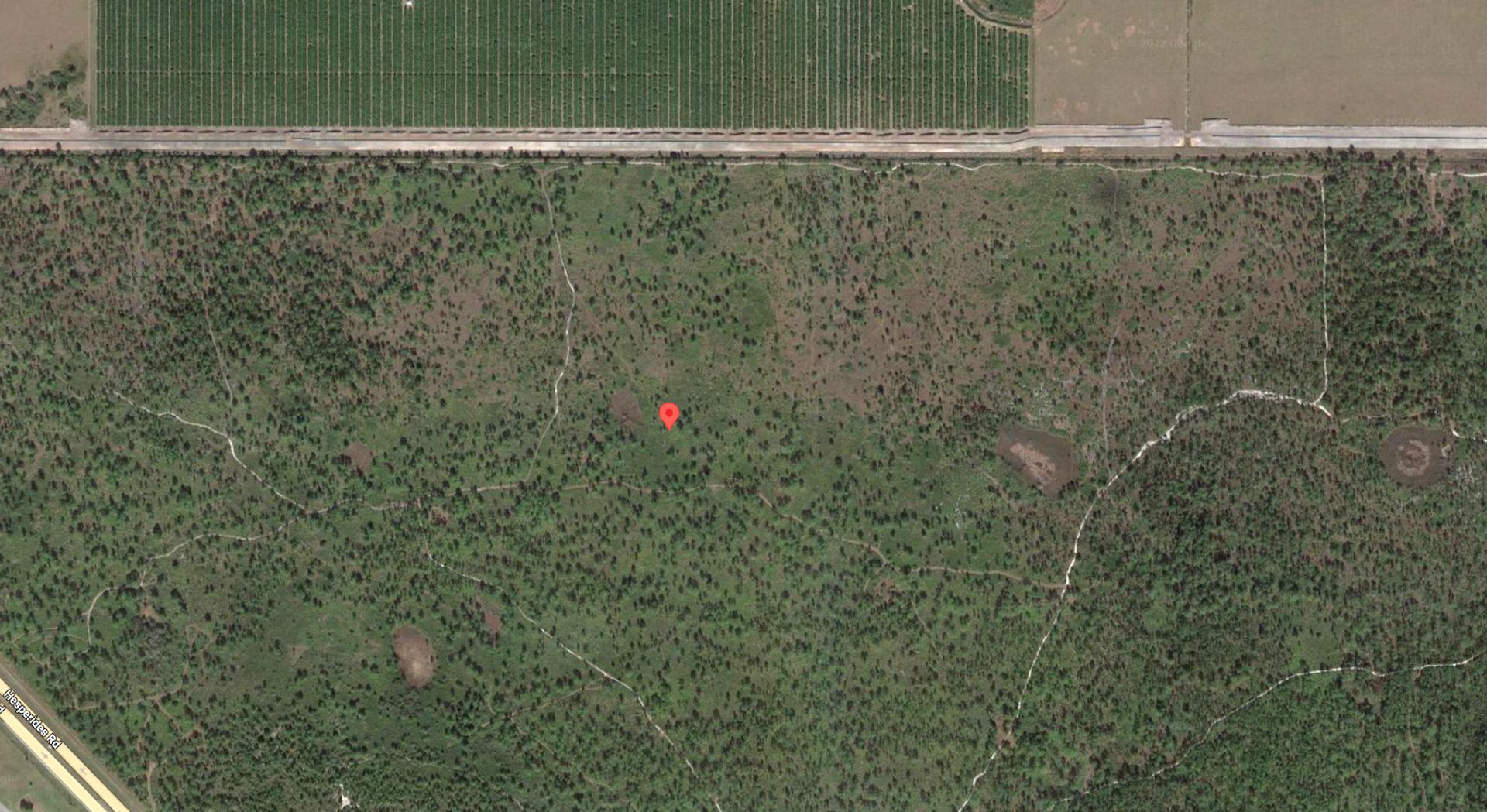 Almost 1.5 Acres + Surrounded by the Kissimmee Chain of Lakes in Sunny FL! - Image 7 of 12