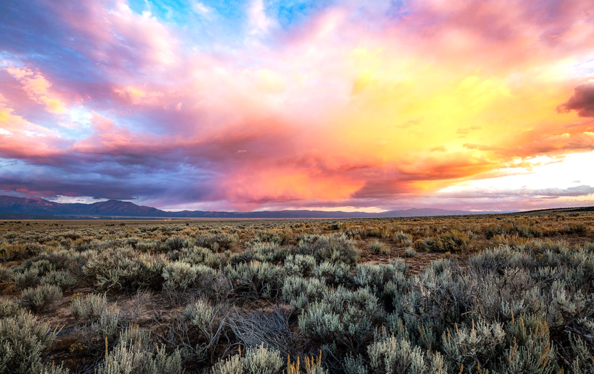 Close to the Rio Del Oro Loop in New Mexico!