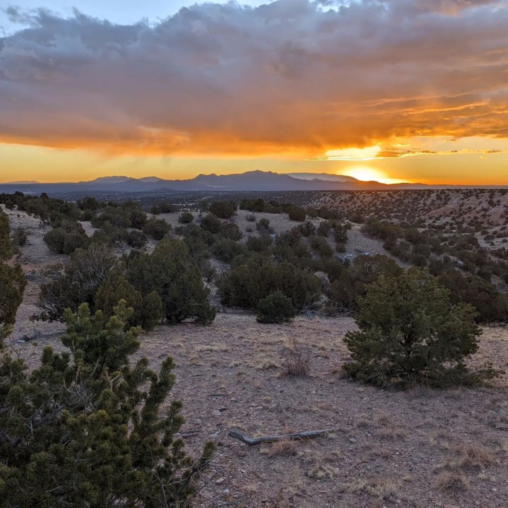 Serene Mountain Views from this Valencia County, NM Lot! - Image 12 of 12