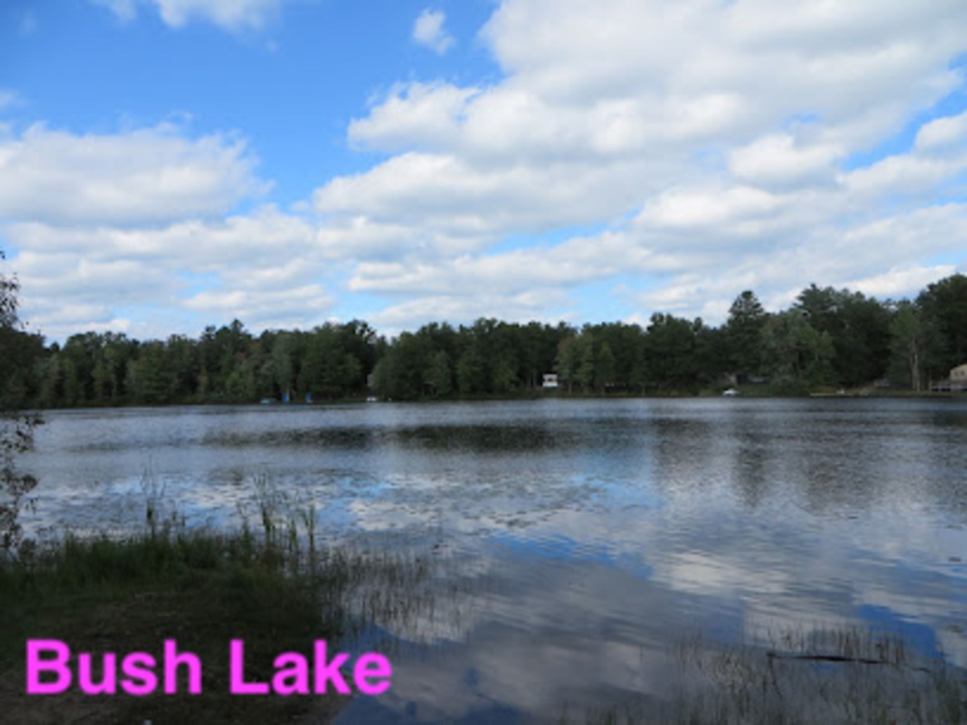 Walking Distance to Bush Lake in Lake County, Michigan! - Image 14 of 14
