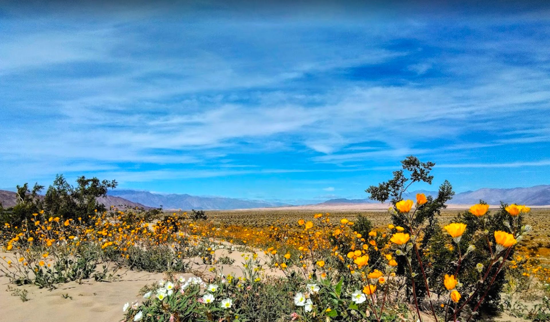 Adventure Awaits You in the Rolling Hills of Imperial County, California! - Image 12 of 12