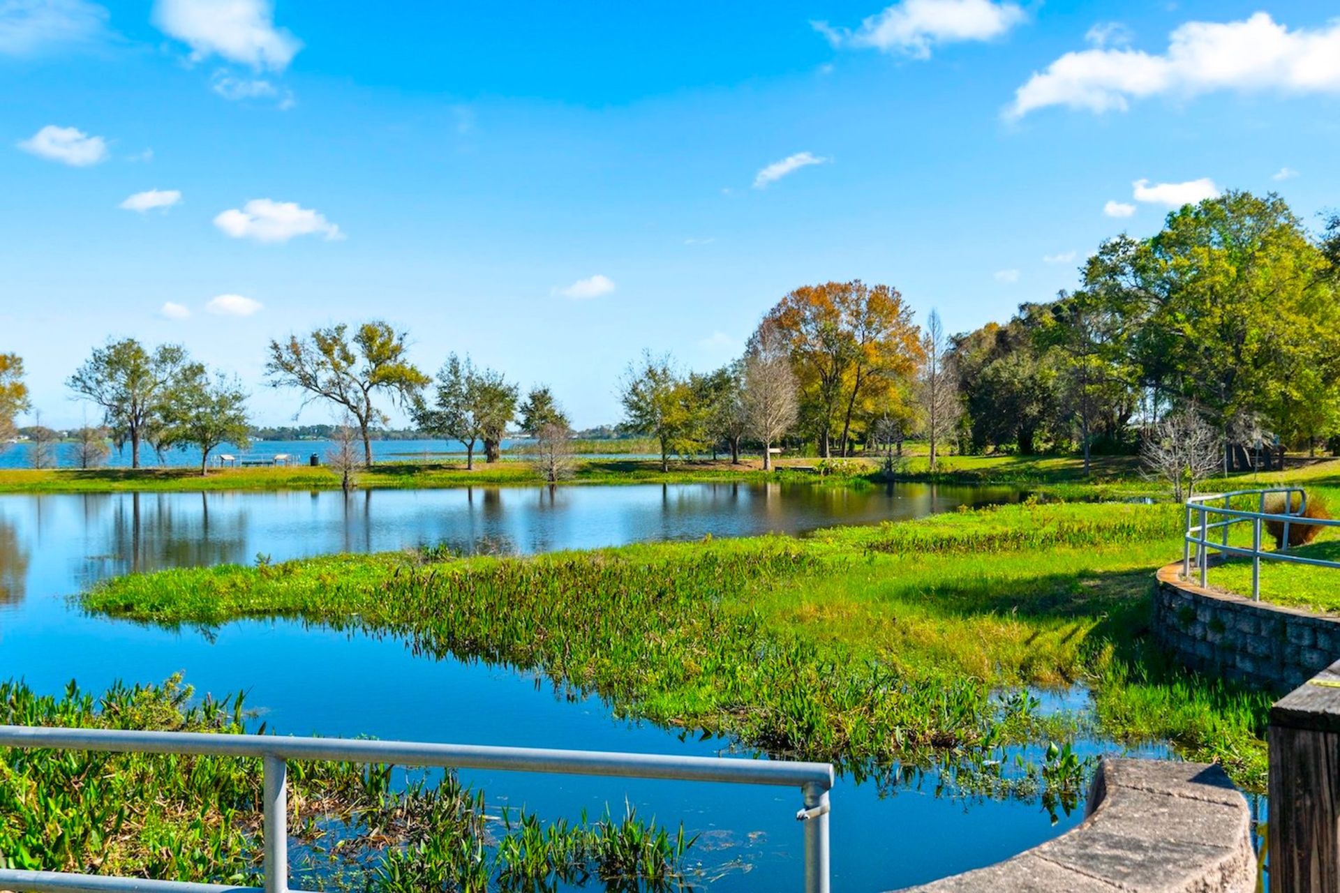 1.27 Acres in Peaceful, Polk County, Florida! - Image 5 of 10