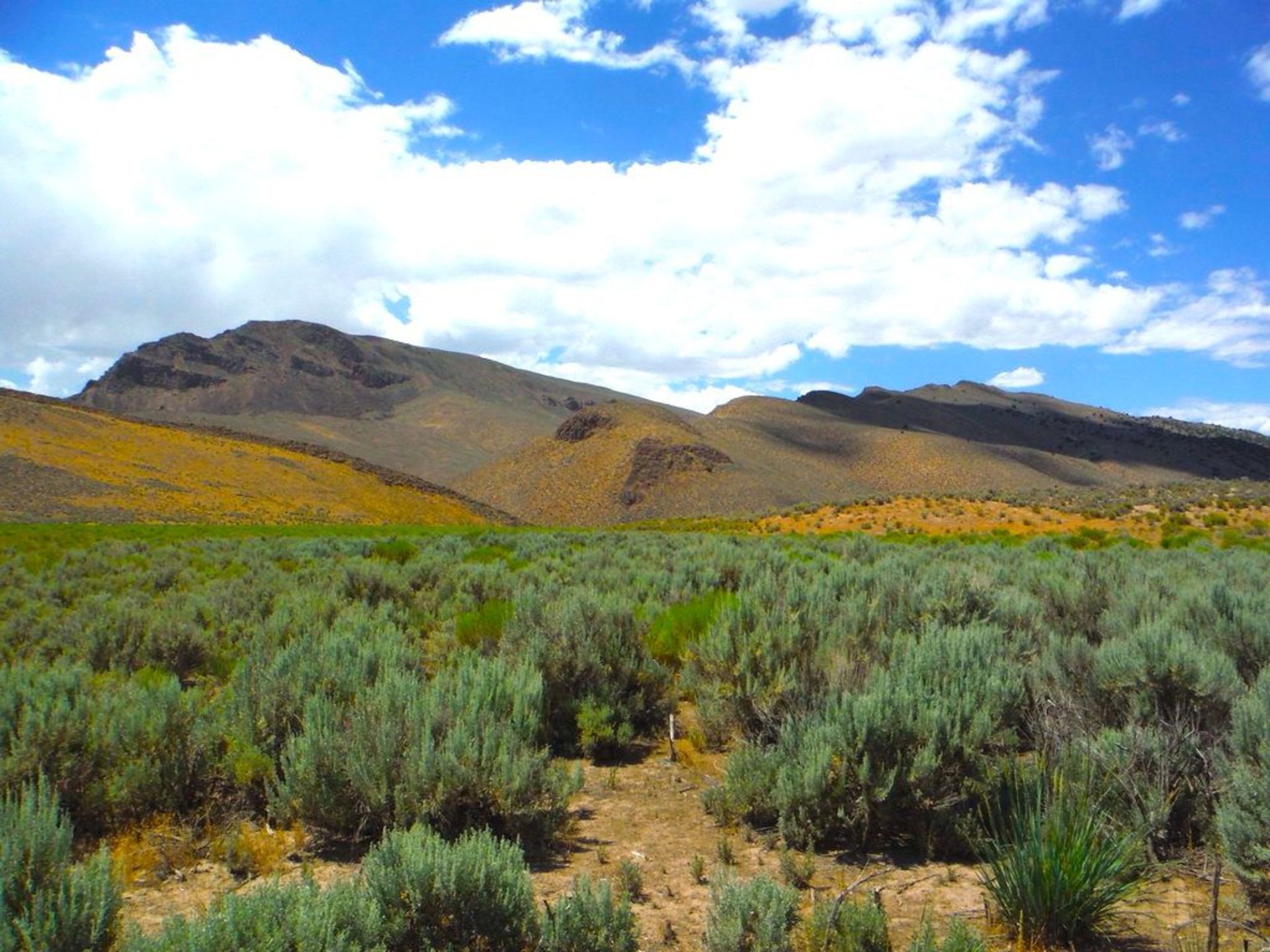 Scenic Mountainscapes on 50 Acres in Lander County, Nevada! - Image 11 of 11