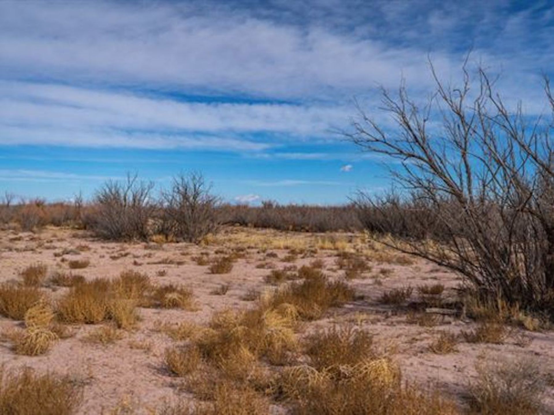 Acquire Your Own Piece of History in Navajo County, Arizona!