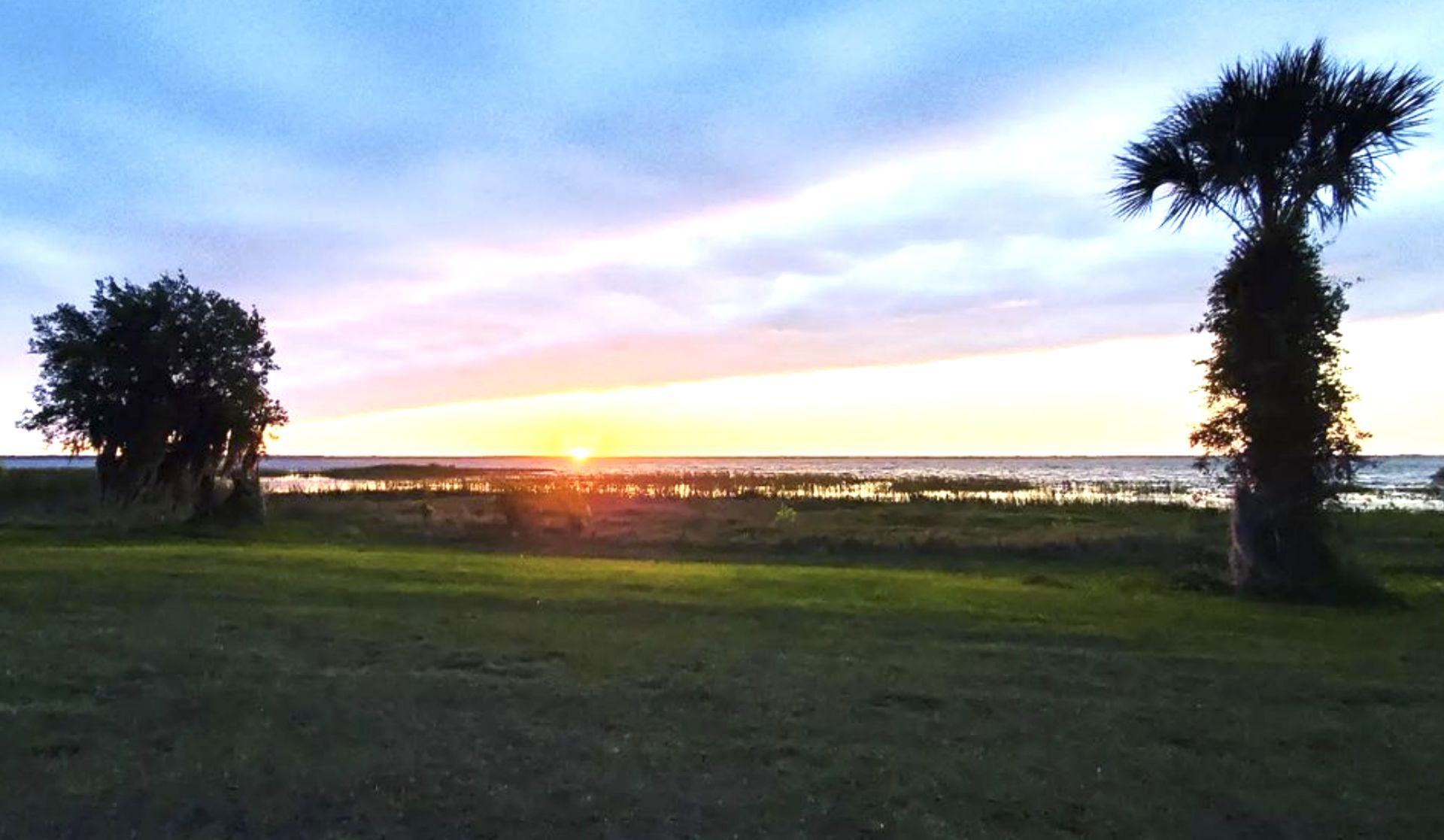 1.45 Acres of Natural Beauty in the Sunshine State! - Image 16 of 16