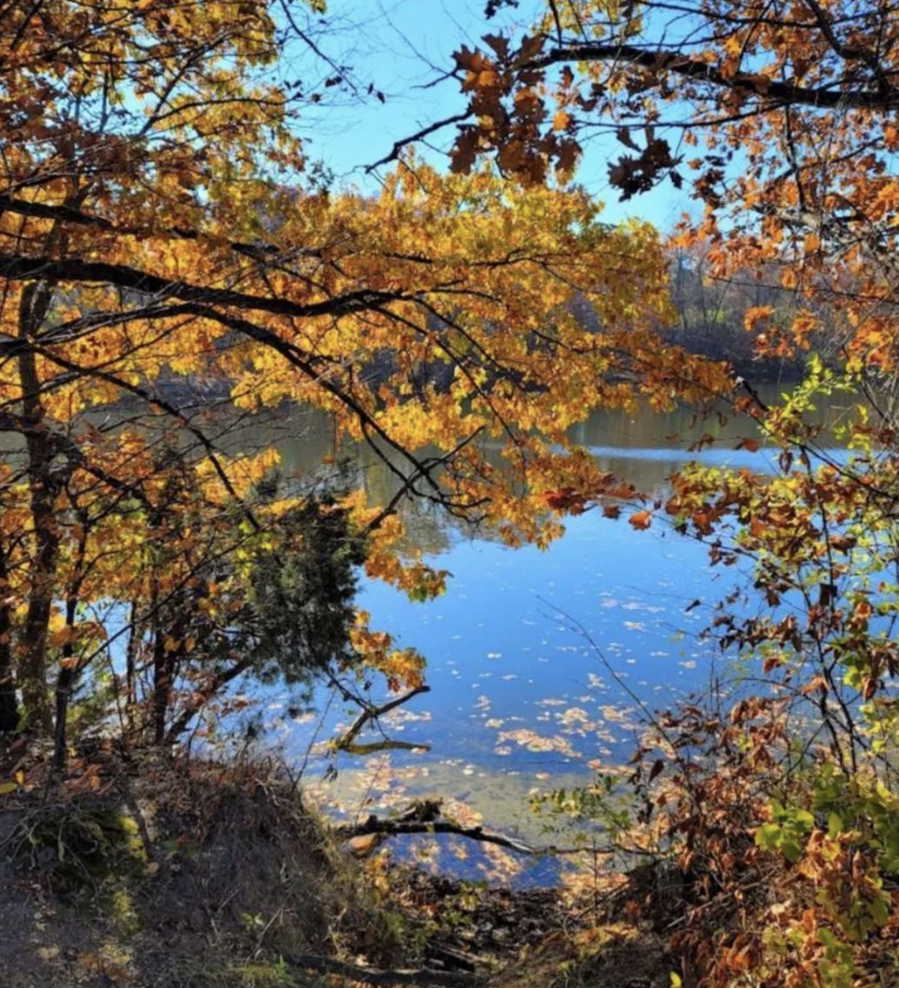 Get Lost in the Colors of Fall by Michigan's Lake Mitchell! - Image 7 of 15