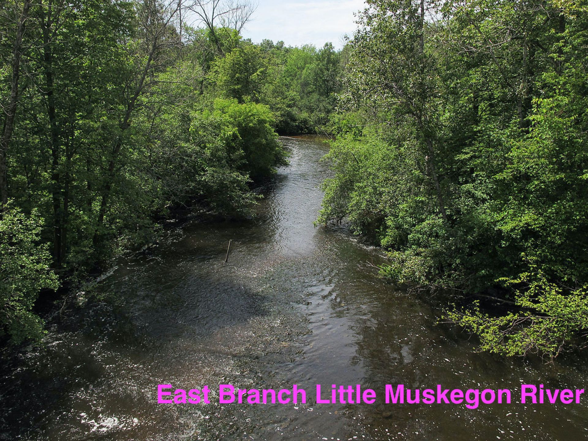 1.40 Acre Riverfront Lot in Michigan! - Image 11 of 16