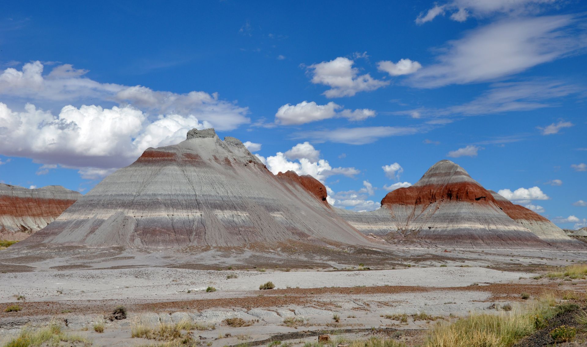 Nearly 5 Acres in Navajo County, Arizona! - Image 14 of 14