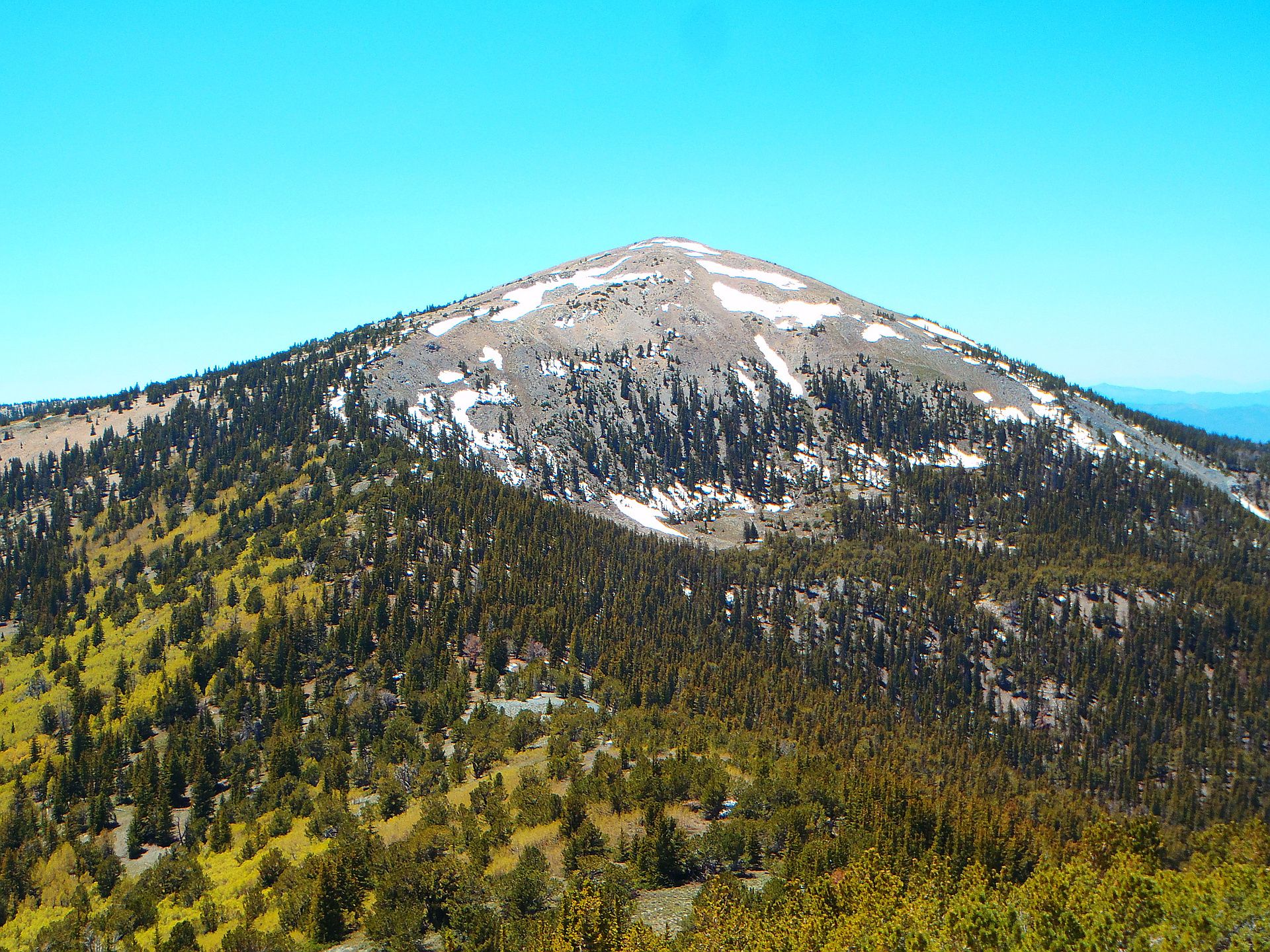 50 Acres of Beauty in Lander County, Nevada!