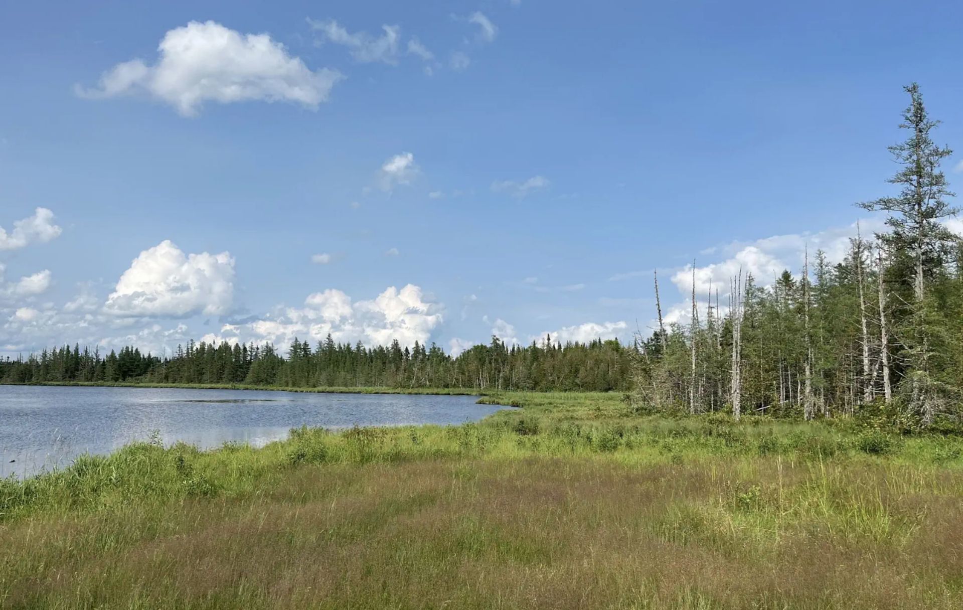 Create Your Ideal Retreat on 18+ Wooded Acres in Aroostook County, Maine! - Image 8 of 11