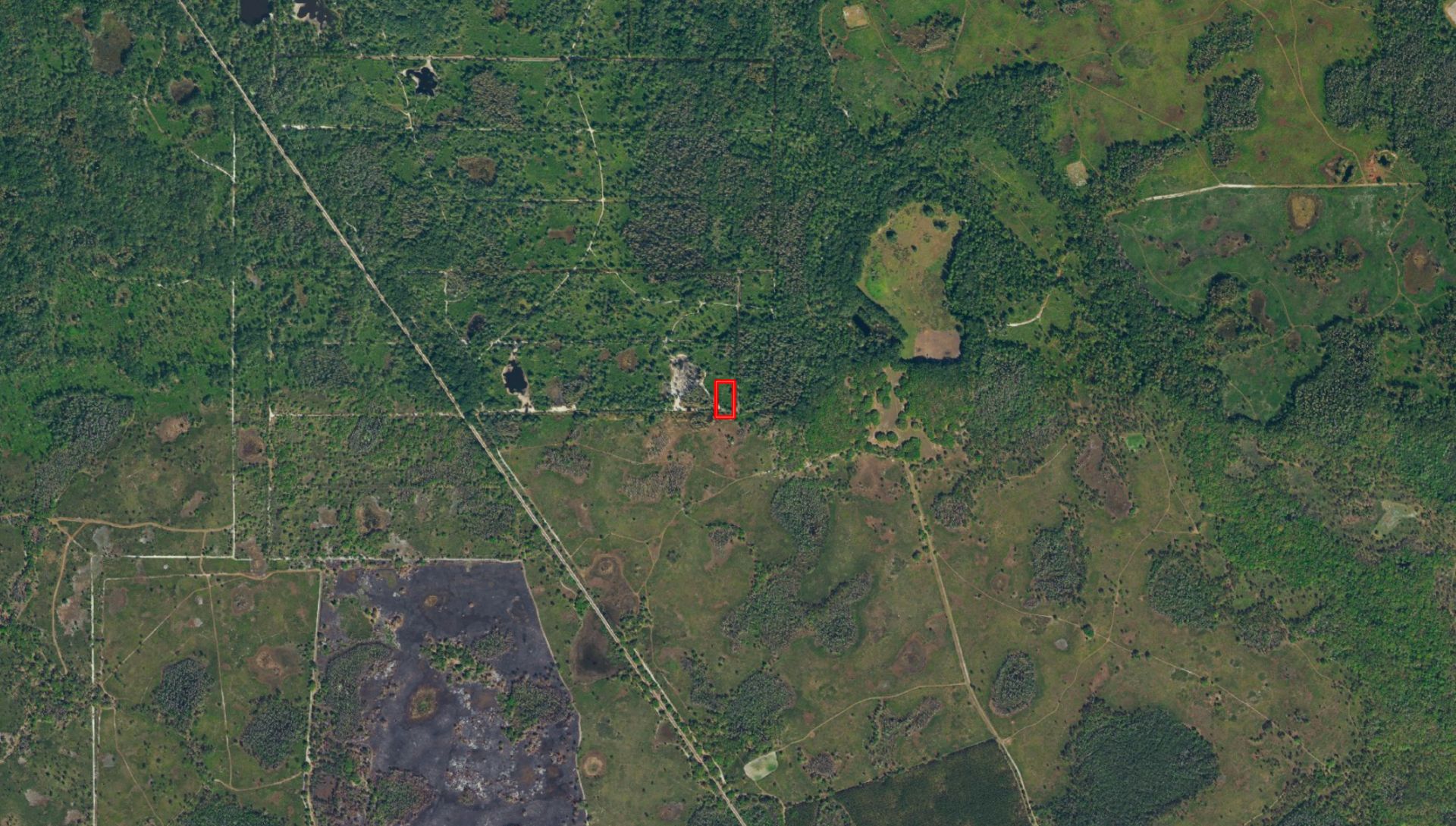 Diversify Your Land Investments: Secure 1.26 Acres in Florida! - Image 4 of 12