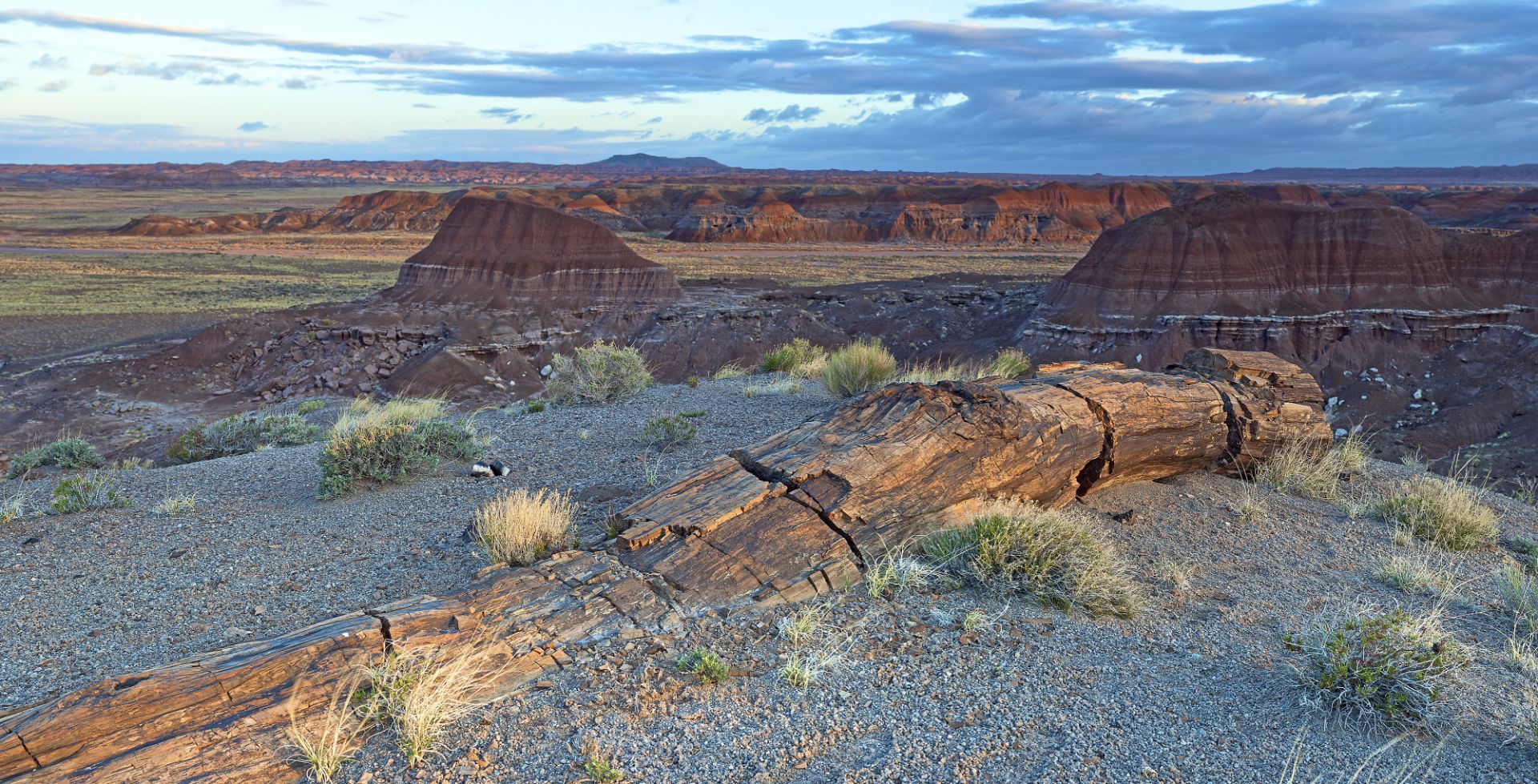 Nearly 5 Acres in Navajo County, Arizona! - Image 10 of 14