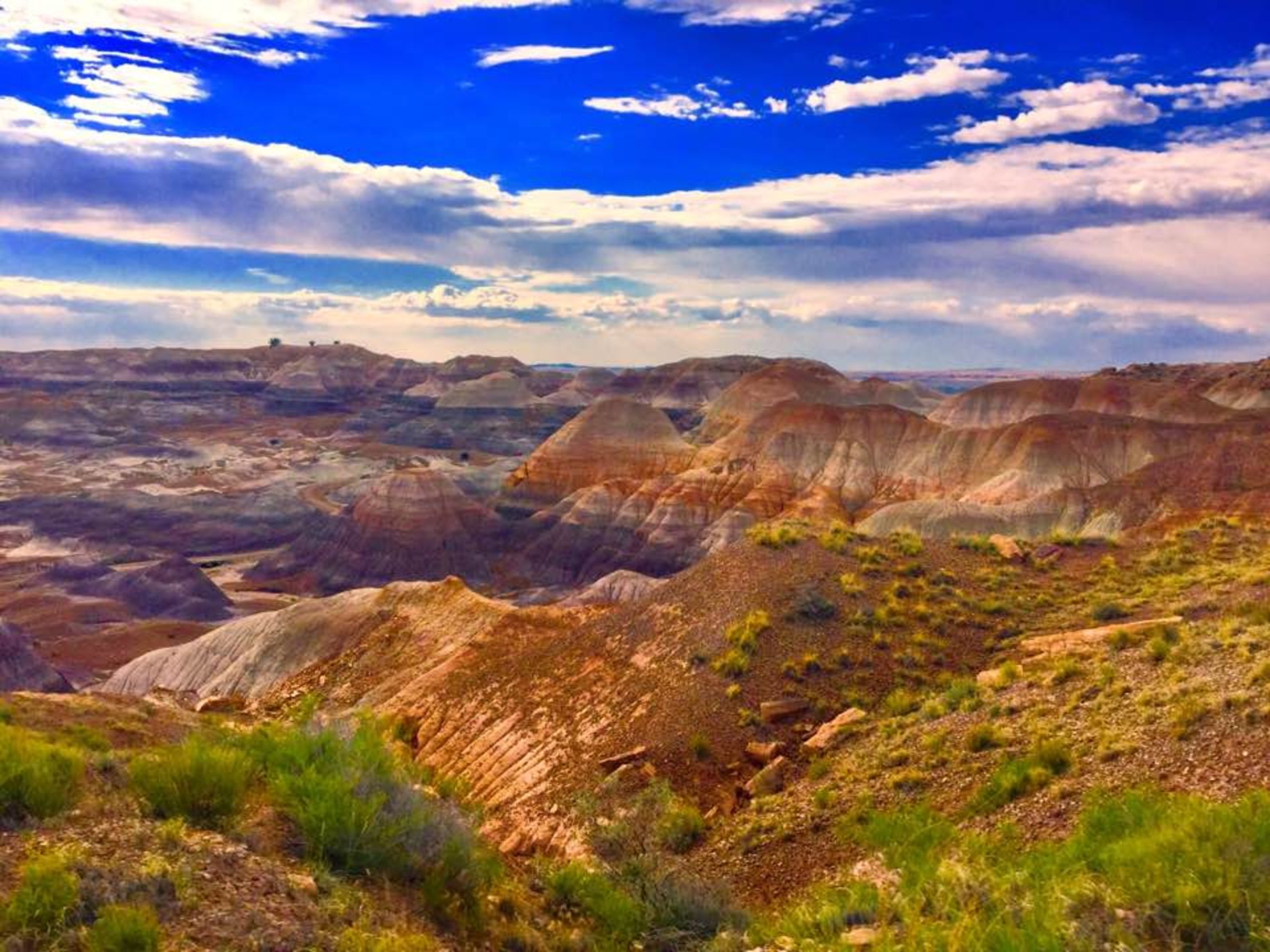 Glistening 2.5 Acre Gem in the Heart of Navajo County, Arizona!