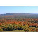 Embrace Tranquility: Explore a Scenic 56.7 Acre Retreat on Caribou Road, New Canada, Maine!