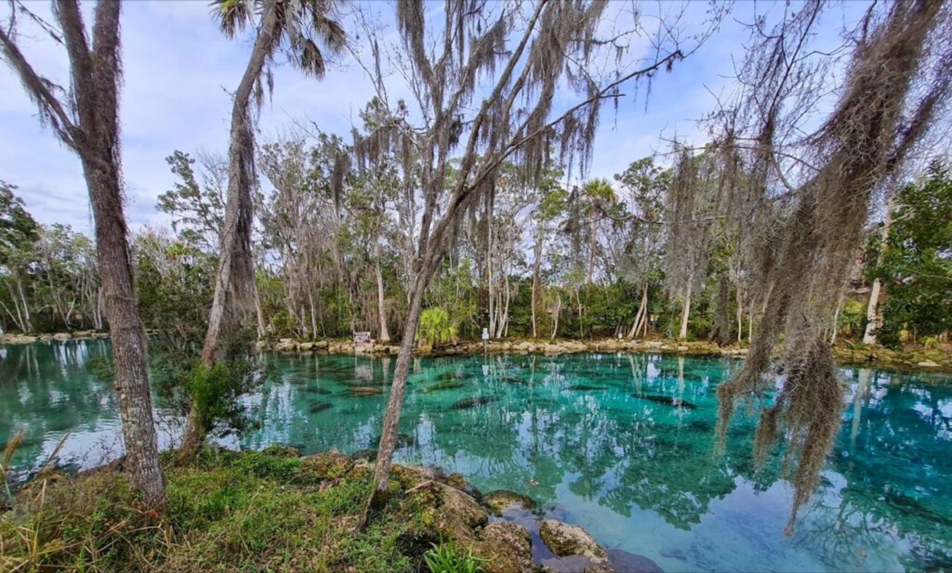 Explore the Wonders of Citrus County, Florida! - Image 9 of 15