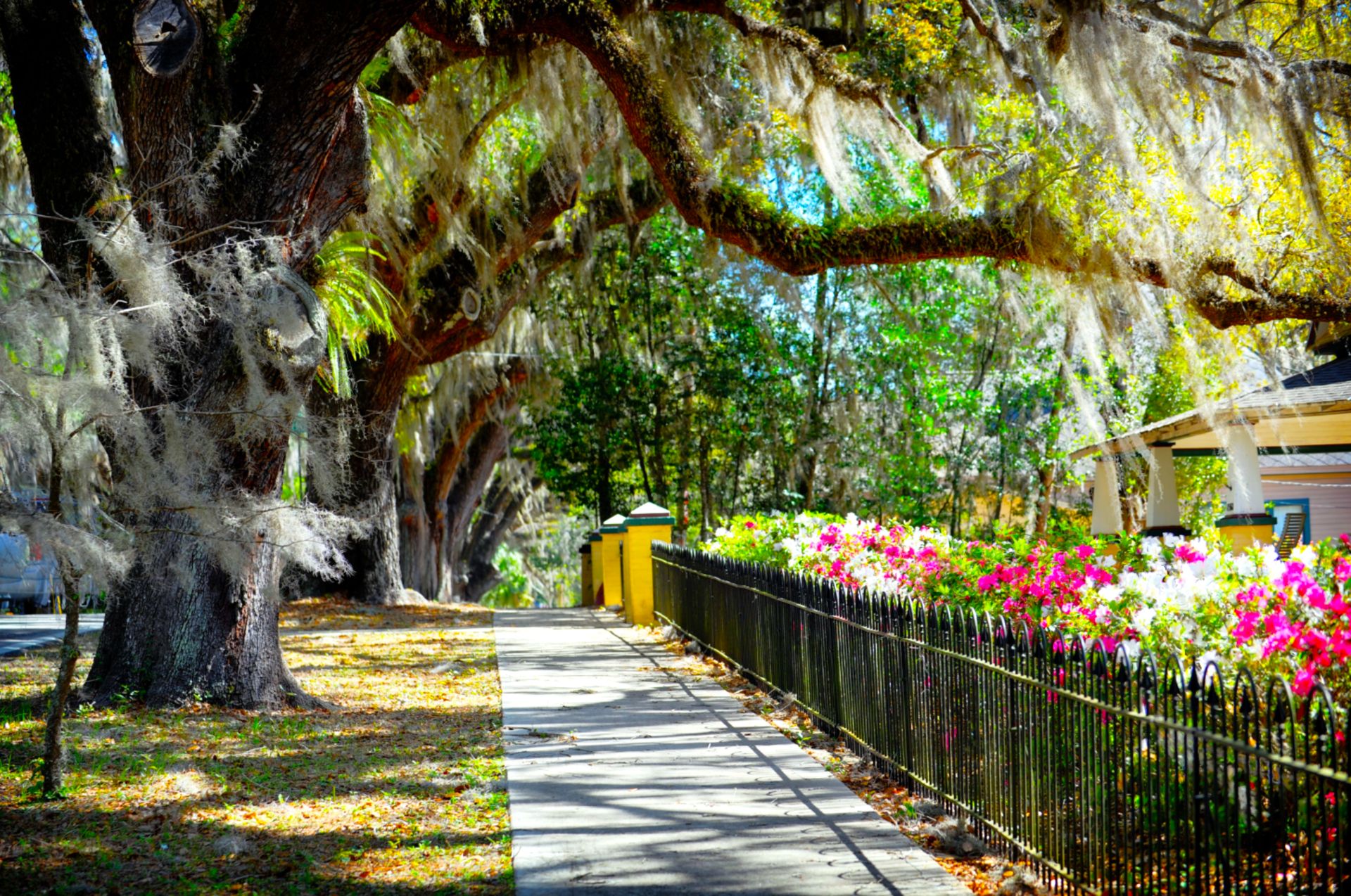 Explore the Wonders of Citrus County, Florida! - Image 15 of 15