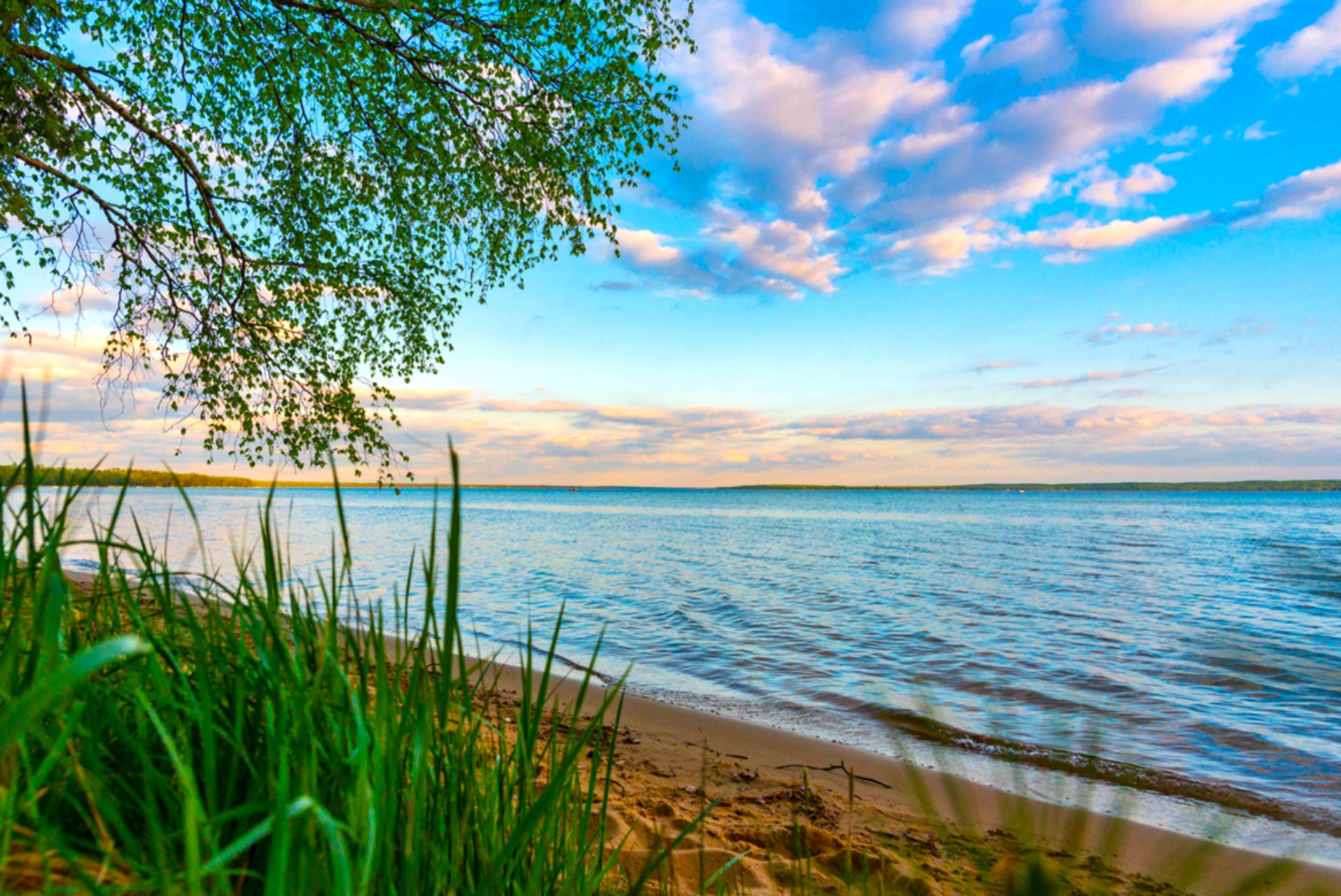 Just Steps Away from Lake Erie in Monroe County, Michigan!