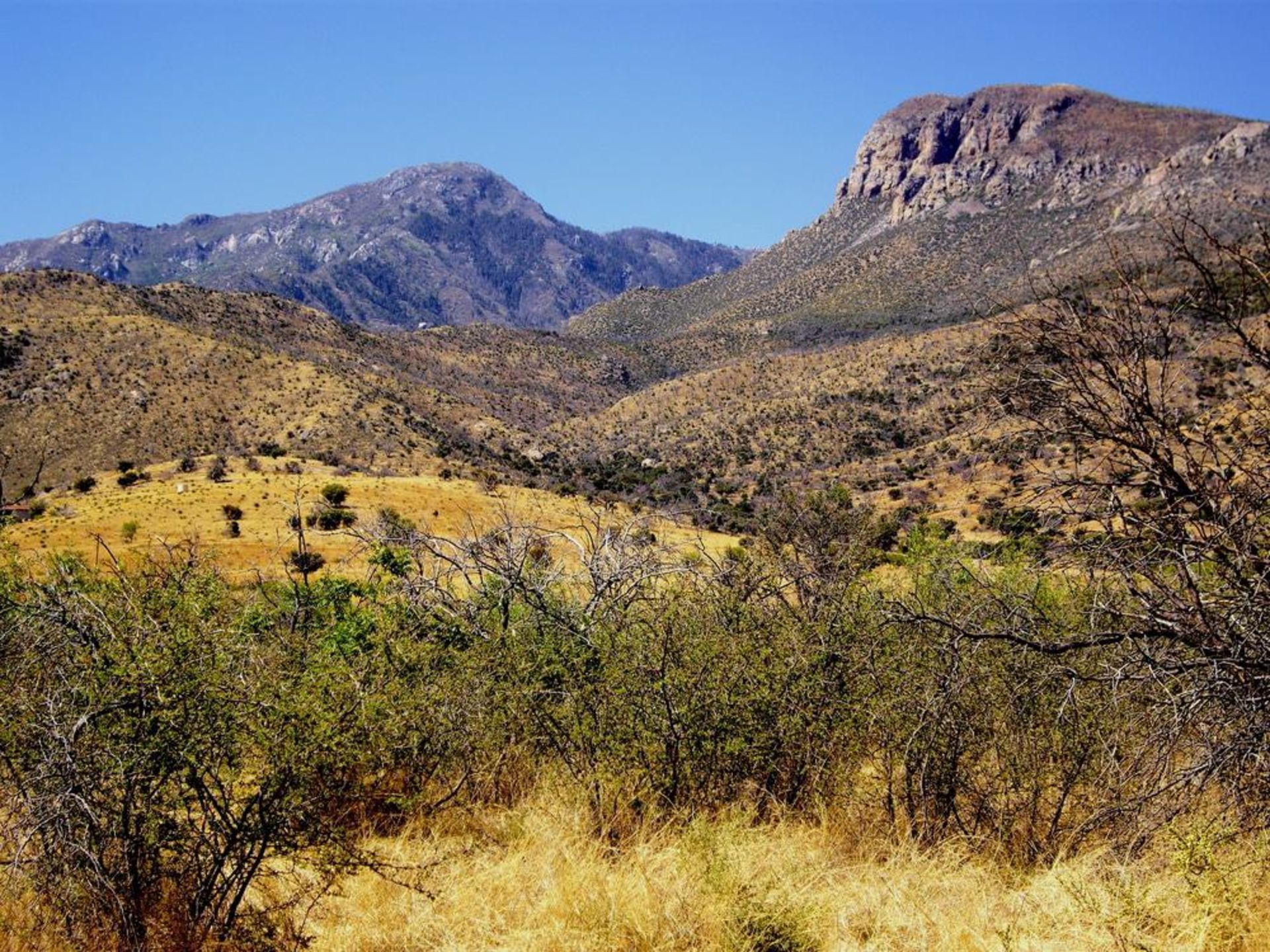 Beautiful Views in Cochise County, Arizona! - Image 5 of 10
