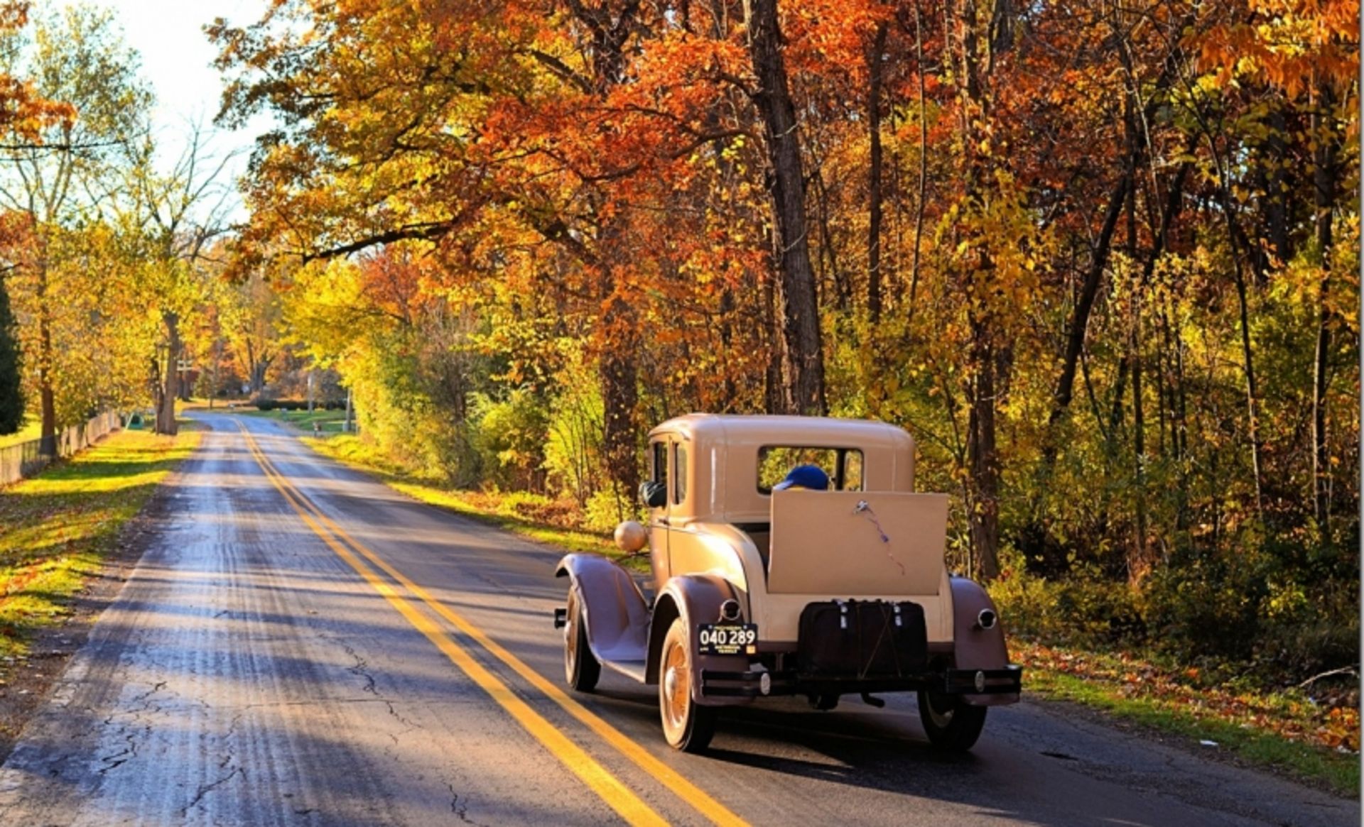 Vibrant Fall Colors in Jackson County, Michigan!