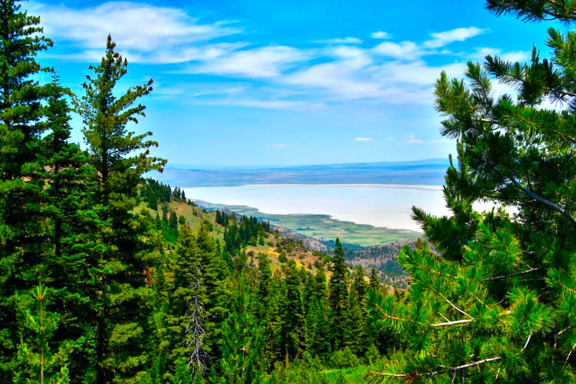 Explore the Wild Beauty of Modoc County: A Haven for Outdoor Enthusiasts! - Image 2 of 13