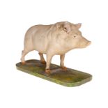 Frühes italienisches Lehrmodell, Schwein, uralt, um 1890/1900, Pappmaché, bemalt, Holzsockel,