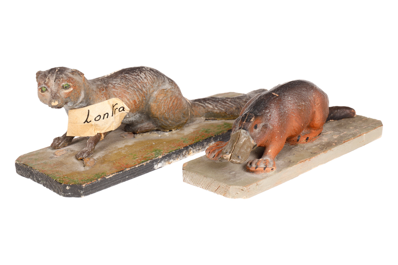 2 frühe italienische Lehrmodelle, uralt, um 1890/1900, Otter und Schnabeltier, Pappmaché,