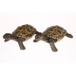 2 Elastolin/Lineol u.a. Schildkröten, Masse, HL, L 11, 1 Bein rissig, sonst Z 2
