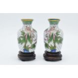 A pair of 20th century cloisonne vases on wooden bases with floral patterns on white background,