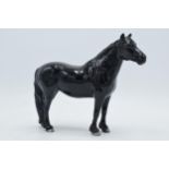 Beswick Fell Pony Dene Dauntless 1647 (professionally restored). The piece displays well though on