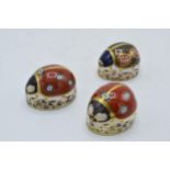 Royal Crown Derby paperweights to include a blue ladybird, a red ladybird with seven spots, both