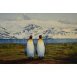 Framed Michael Skidmore (local artist) oil on canvas 'Paintings of Antarctica' depicting penguins,