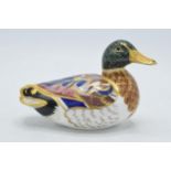 Royal Crown Derby paperweight in the form of a Mallard Duck. First quality with gold stopper. In