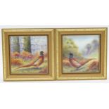 Quality pair of framed painted porcelain plaques of pheasants in the woodlands, by Nigel Creed,