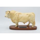 Beswick Charolais Bull on wooden base (chip to front right hoof). Otherwise good apart from chip.