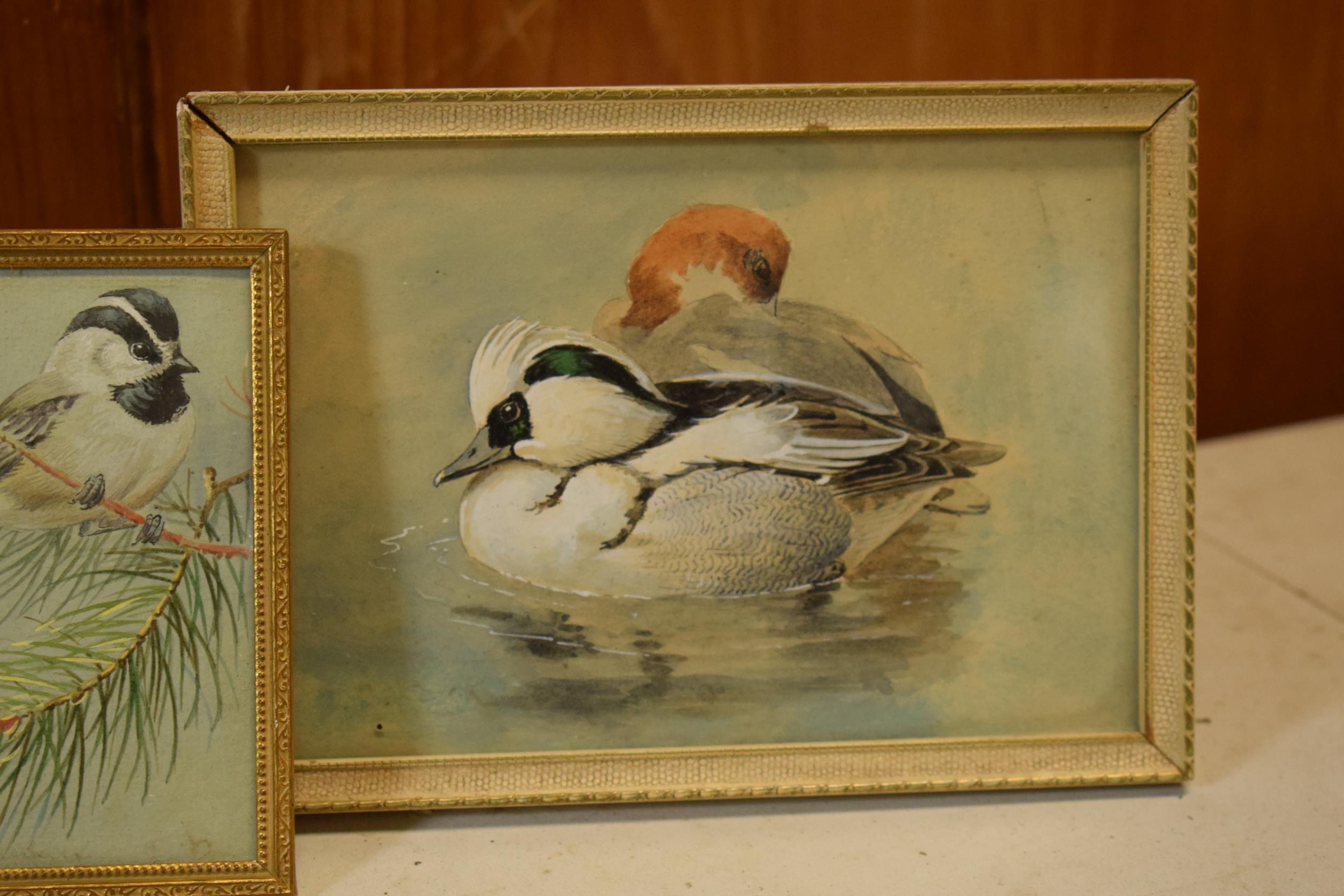 Donald Birbeck: watercolours of a magpie, ducks and bird on a branch, signed by Birbeck , a former - Image 2 of 4