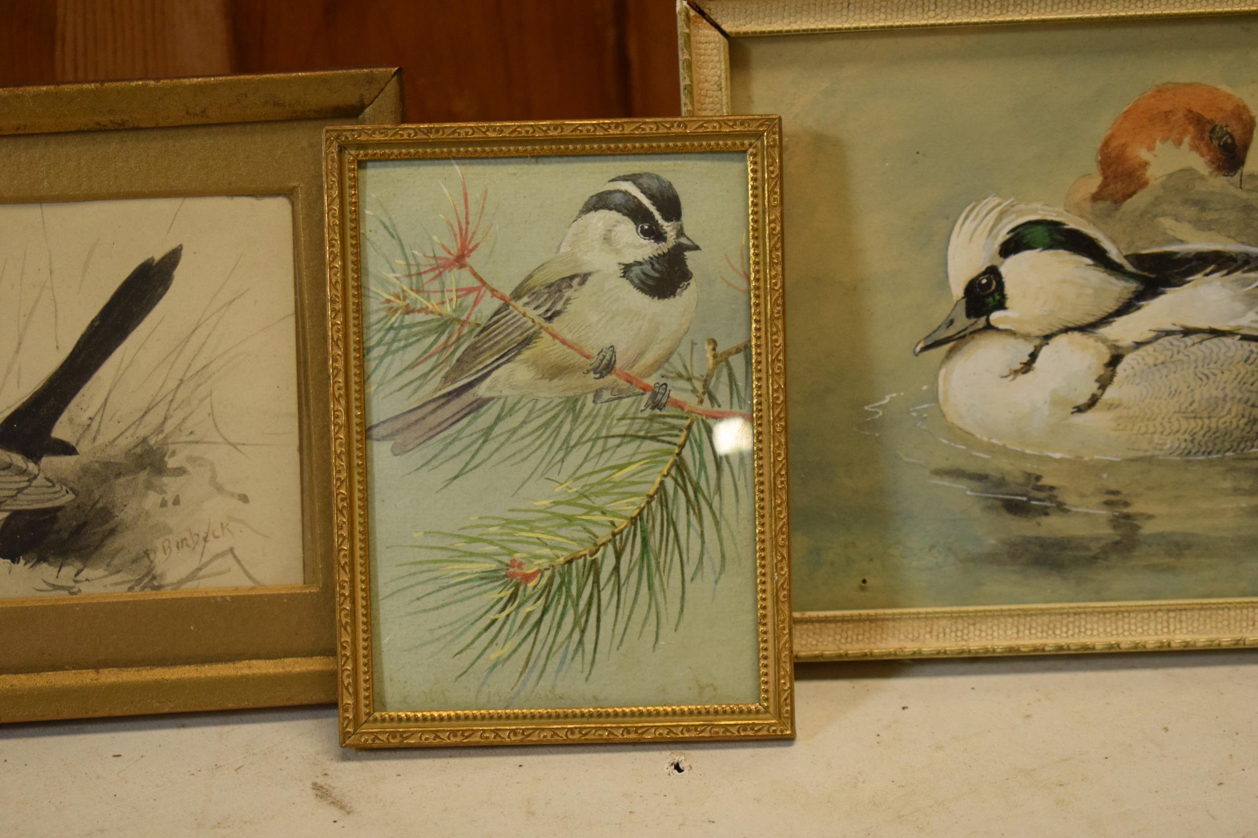 Donald Birbeck: watercolours of a magpie, ducks and bird on a branch, signed by Birbeck , a former - Image 3 of 4