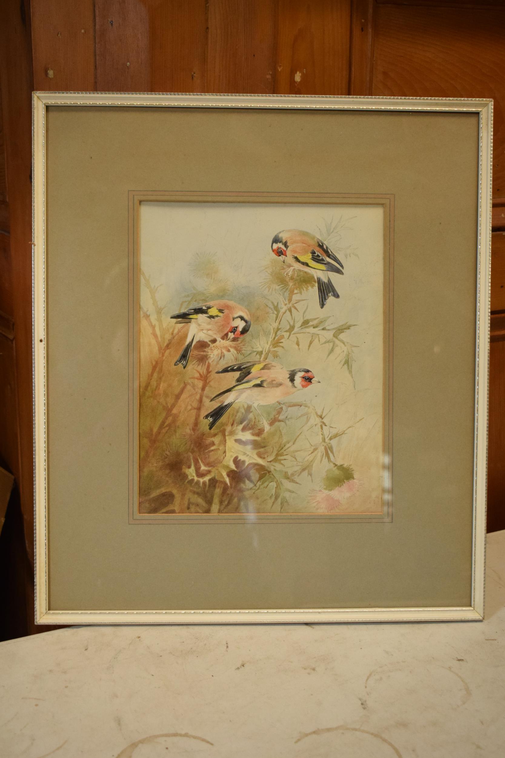 Donald Birbeck: watercolour of goldfinches, by Birbeck, a former Royal Crown Derby and Royal - Image 2 of 3