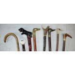 A collection of vintage and similar walking sticks, some with ornate handles such as a terrier, horn