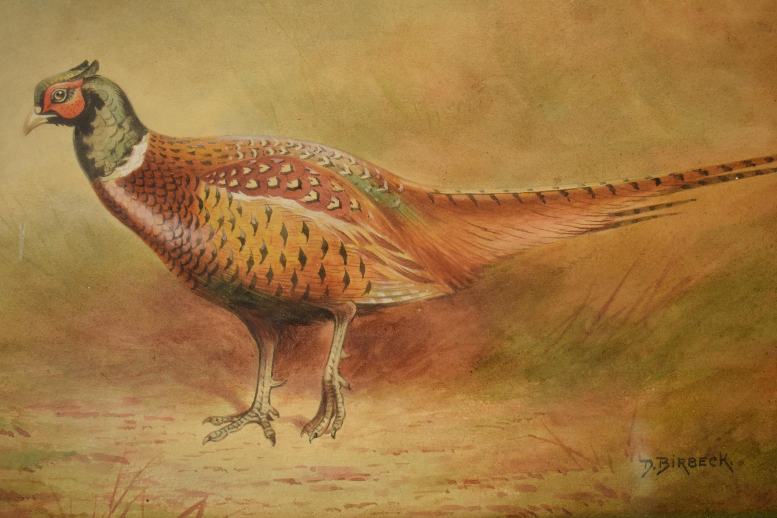 Donald Birbeck: watercolour of a pheasant amongst foliage, signed by Birbeck, a former Royal Crown