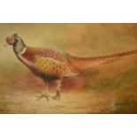 Donald Birbeck: watercolour of a pheasant amongst foliage, signed by Birbeck, a former Royal Crown