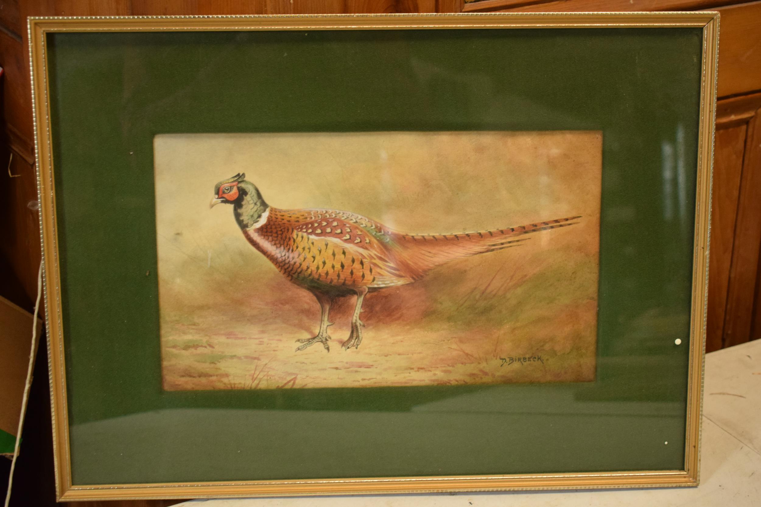 Donald Birbeck: watercolour of a pheasant amongst foliage, signed by Birbeck, a former Royal Crown - Image 2 of 4